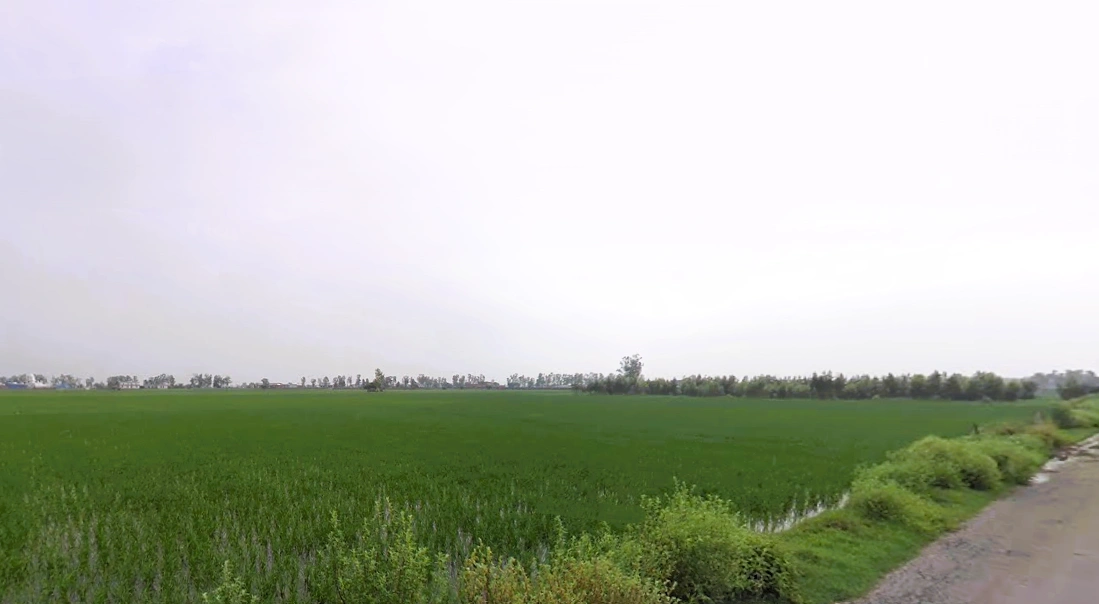 Assandh, Haryana 132039, India