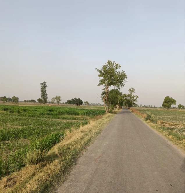 Naukerian, Punjab 152033, India