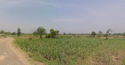 Amroha, Uttar Pradesh, India preview 3