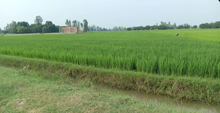 Samadpur Hardas, Unnao, Uttar Pradesh 209881, India