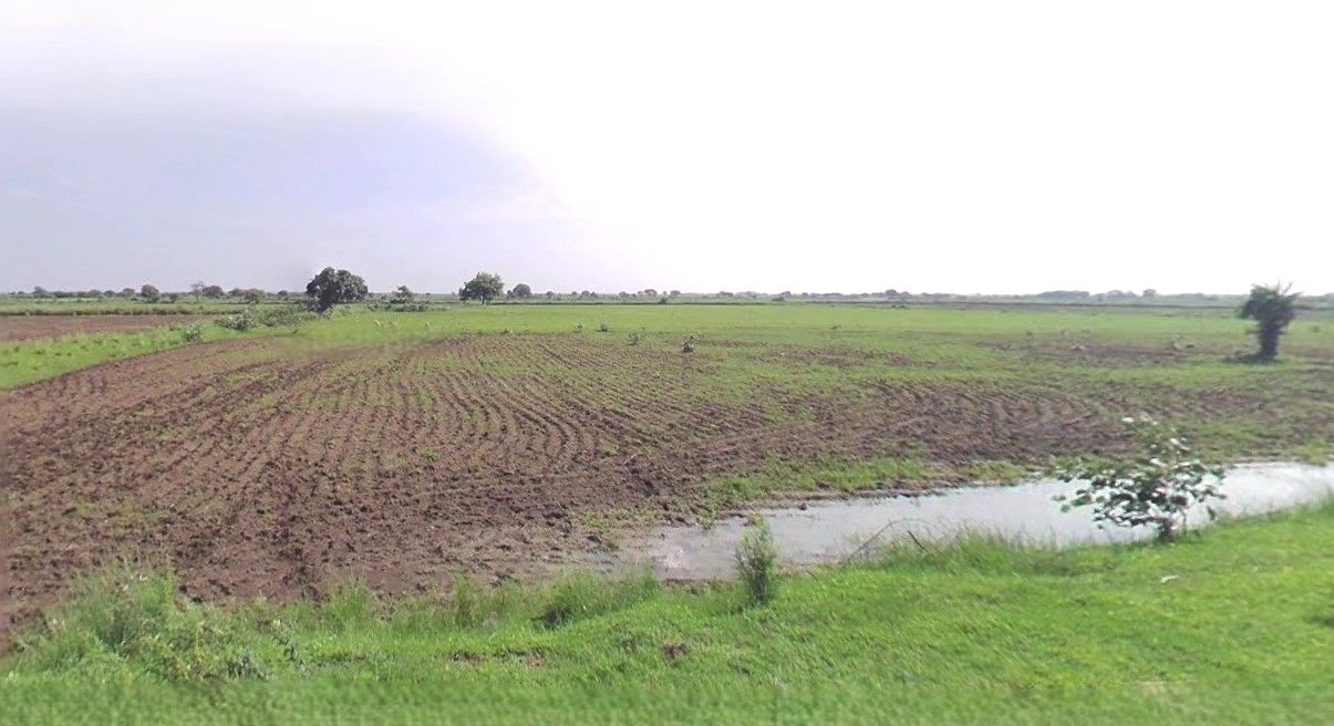 Barnagar, Madhya Pradesh 456771, India