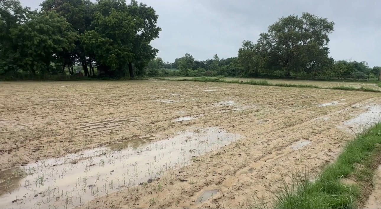 Ashakhera, Unnao, Uttar Pradesh 209859, India preview 2