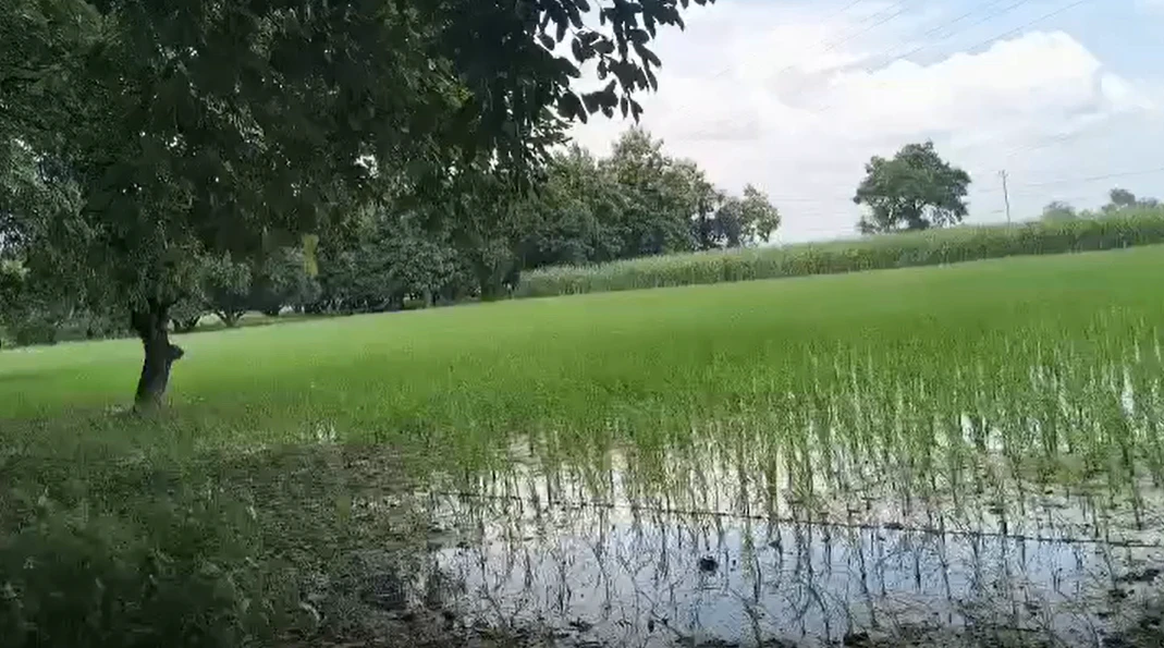 Incholi, Meerut, Uttar Pradesh 250001, India