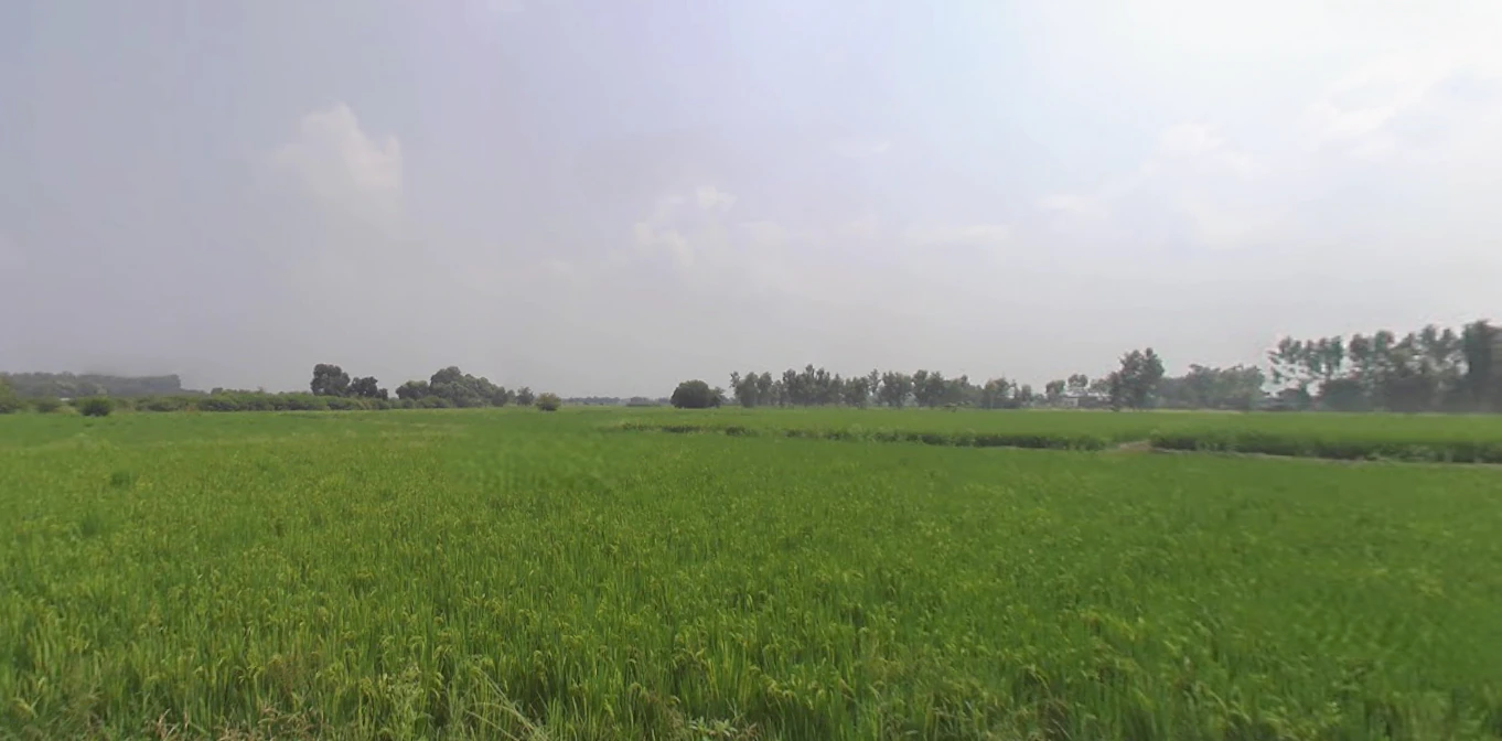 Bajuha Khurd, Punjab 144033, India