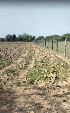 894P+CG6, Faridabad, Dayalpur, Haryana 121004, India