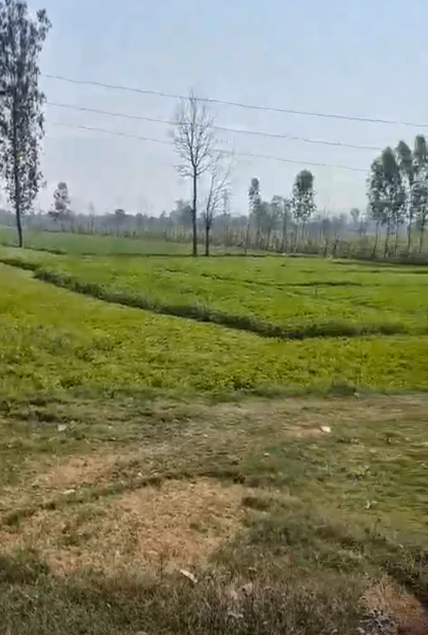 Tindwari, Banda, Uttar Pradesh 210128, India