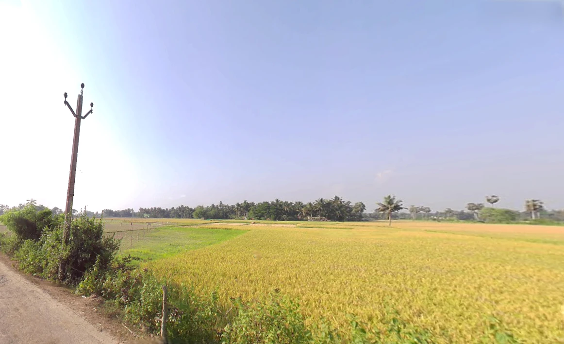Konark, Odisha 752111, India