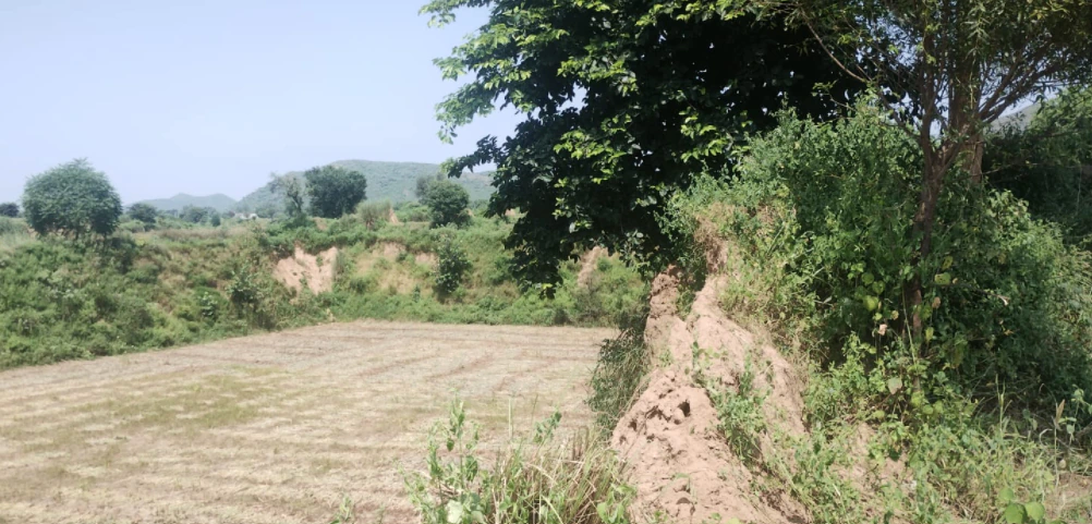 Seona, Patiala, Punjab 147006, India
