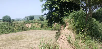 Seona, Patiala, Punjab 147006, India preview 2
