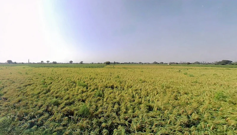 Tappal, Uttar Pradesh 202165, India preview 2