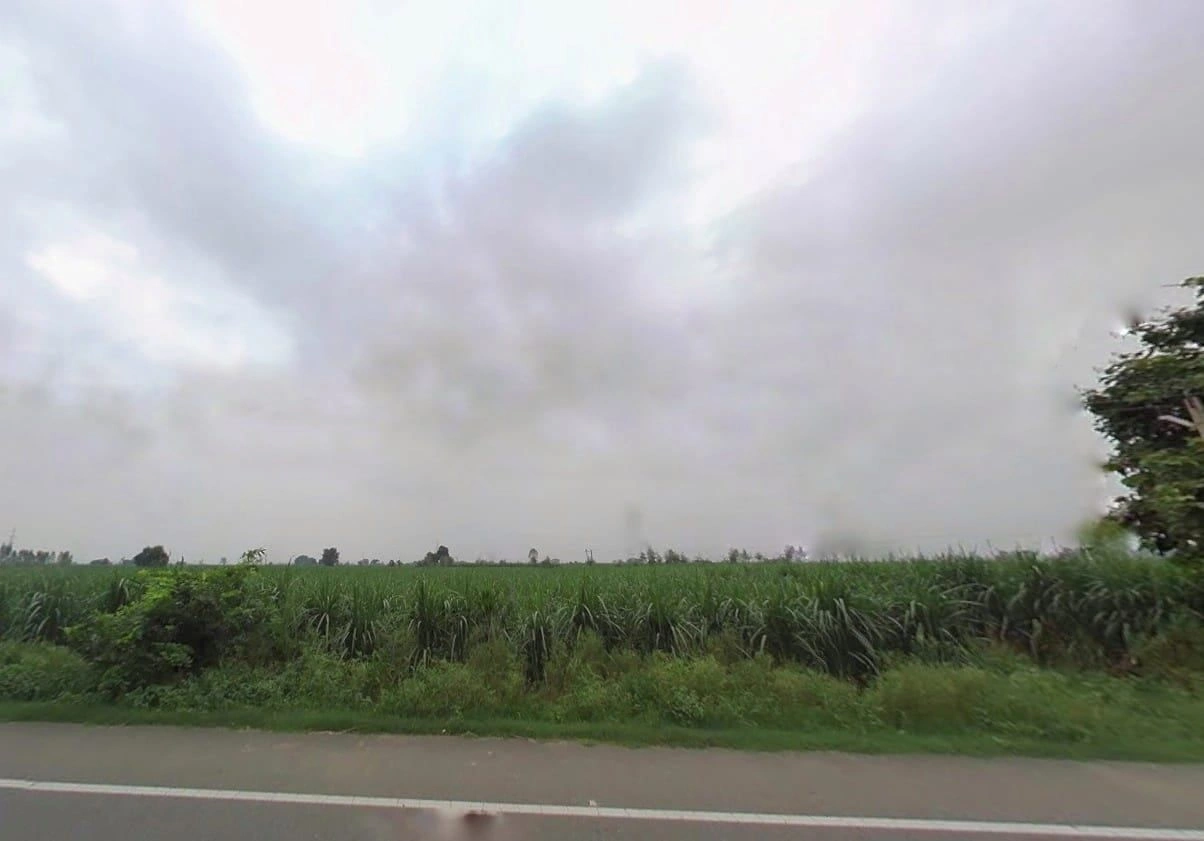 Budhana, Uttar Pradesh 251309, India