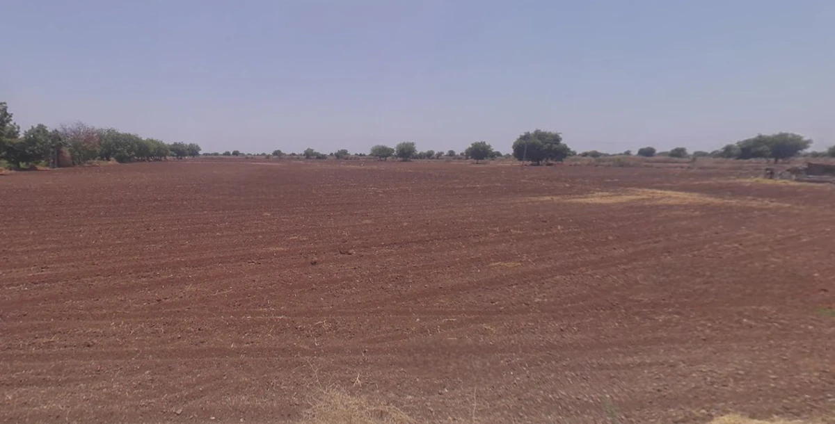 J77V+W25, Vagadiya, Gujarat 363530, India