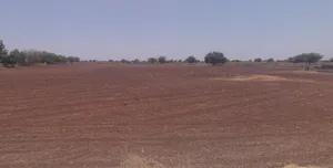 J77V+W25, Vagadiya, Gujarat 363530, India preview 3