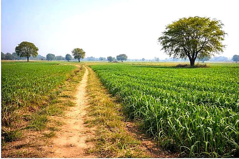 Darbarpur, Uttar Pradesh 246733, India preview 2