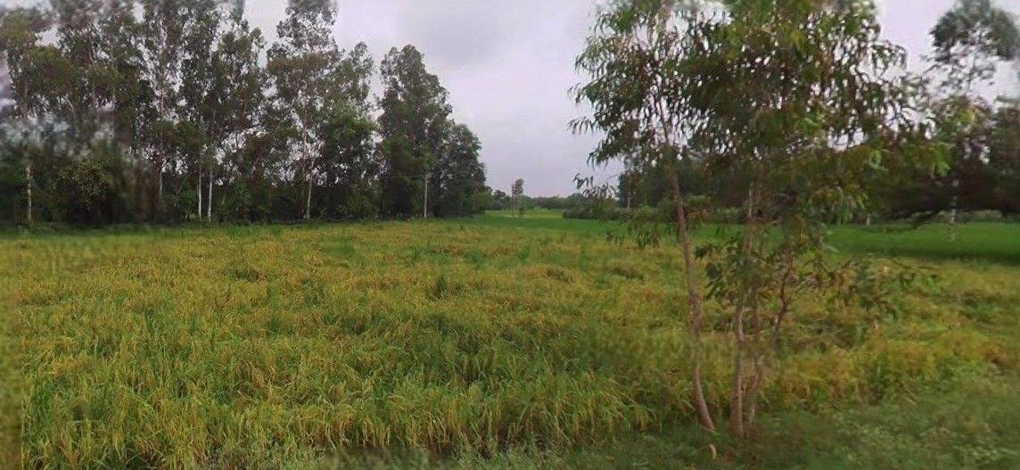 Jansath, Uttar Pradesh 251314, India