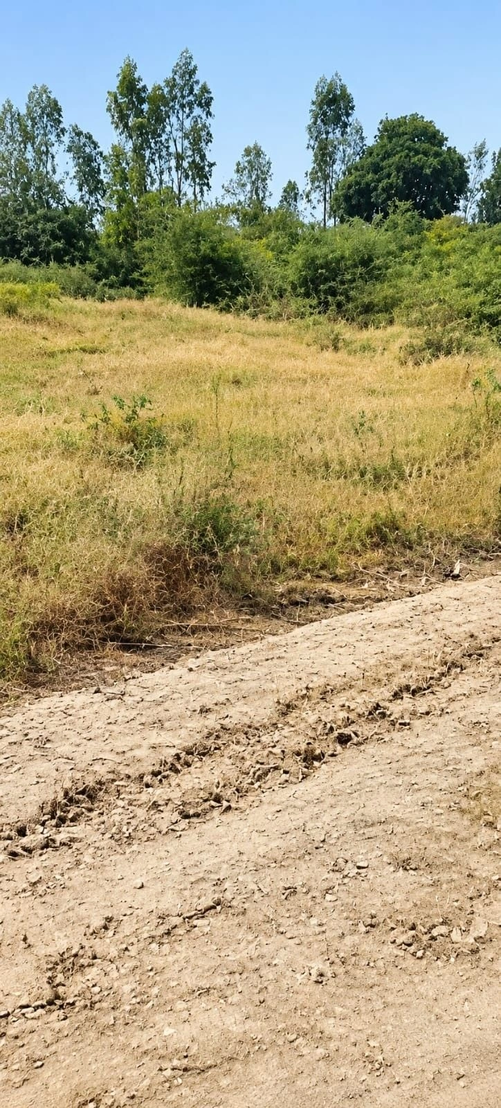 379J+VPV, Gwalior, Billowa, Madhya Pradesh 475001, India