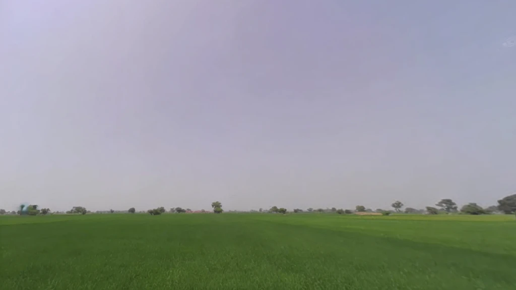 7472+Q69, Panipat, Matnauli, Haryana 132122, India