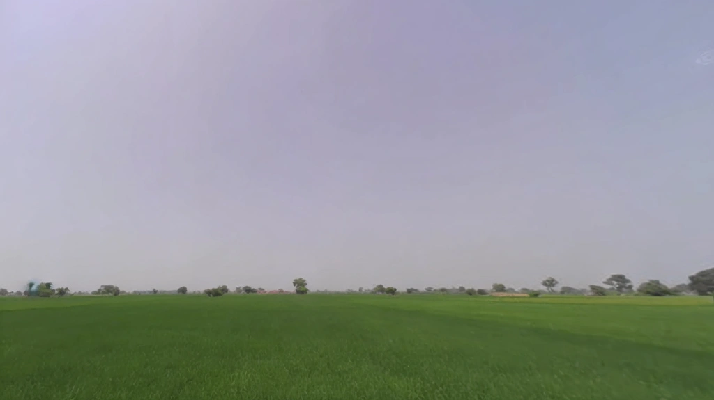 7472+Q69, Panipat, Matnauli, Haryana 132122, India