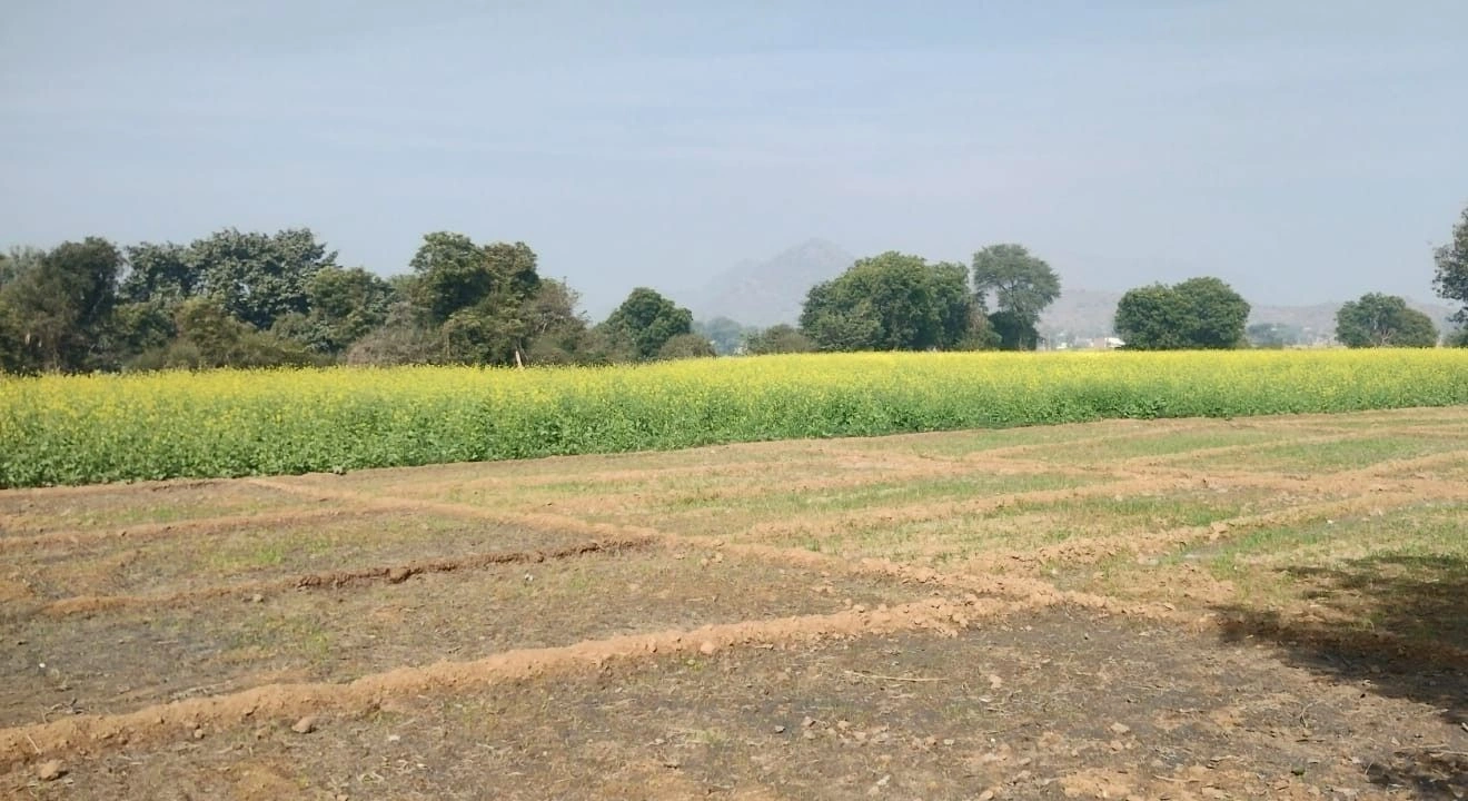 Manawas, Rajasthan, India