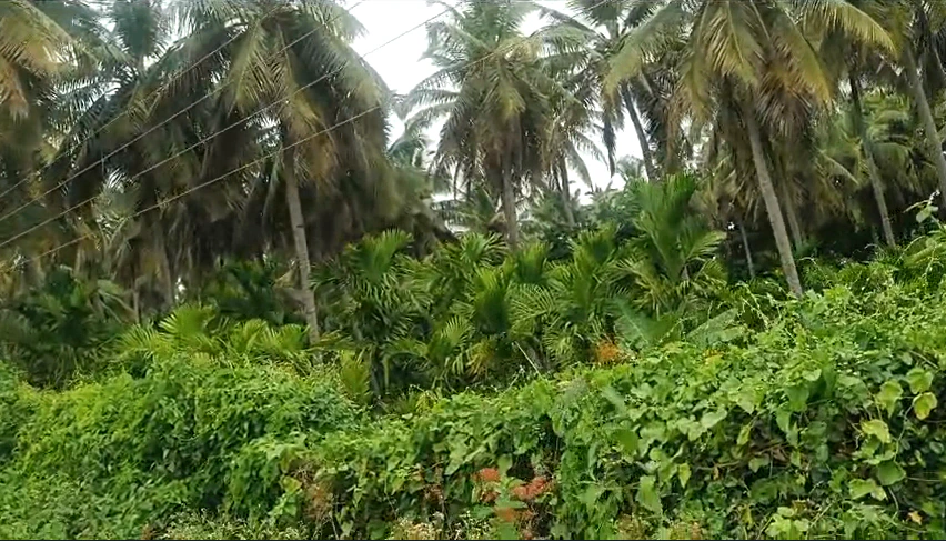 Meghalapura, Karnataka 571130, India