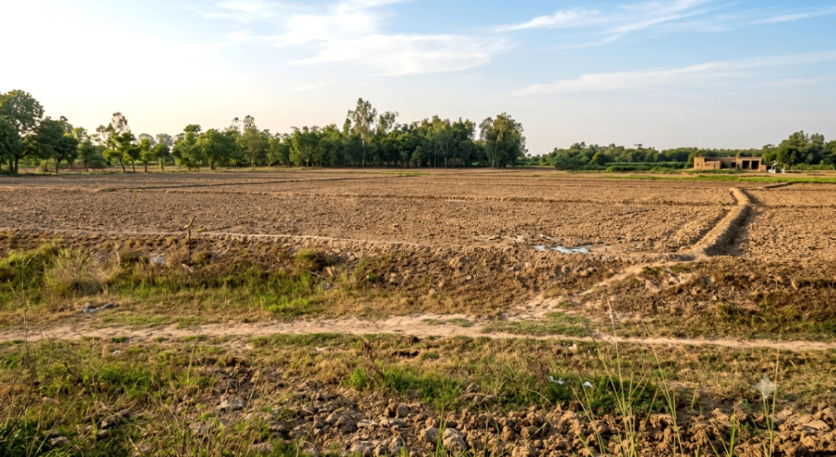 4QCJ+9J Mahitha, Hardoi, Uttar Pradesh, India - Photo 2