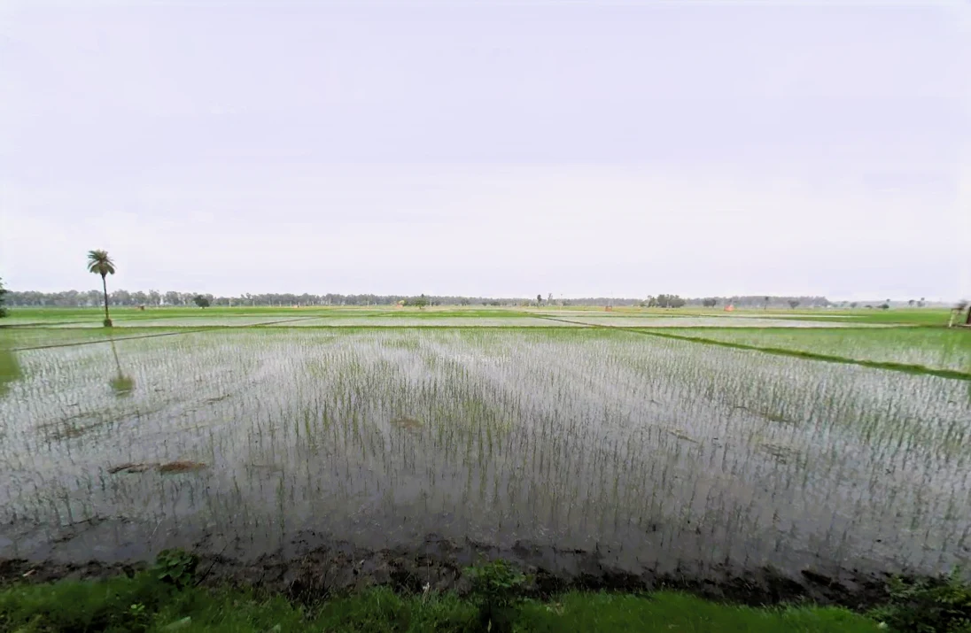 Madlauda, Haryana 132113, India