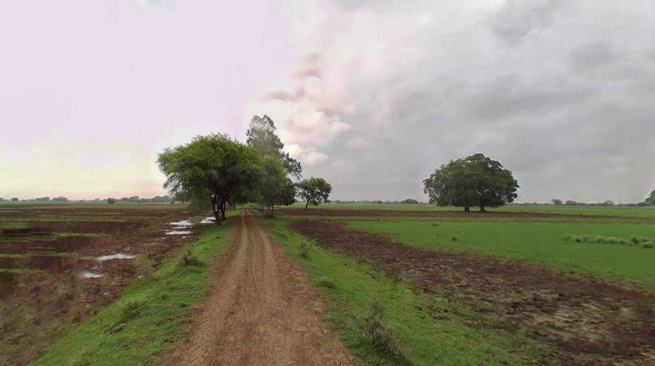 Bhagwanpur, Uttarakhand 247661, India