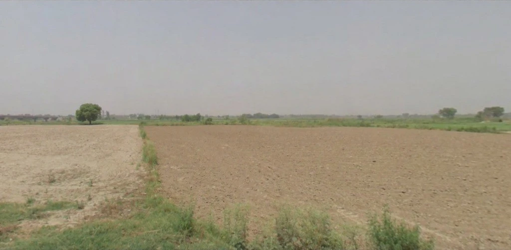 Husainpur, Uttar Pradesh 201206, India