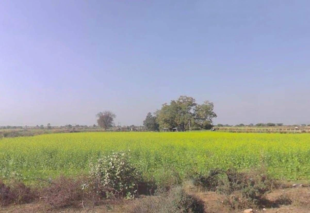 7W2J+GJ Jamanpura, Rajasthan, India