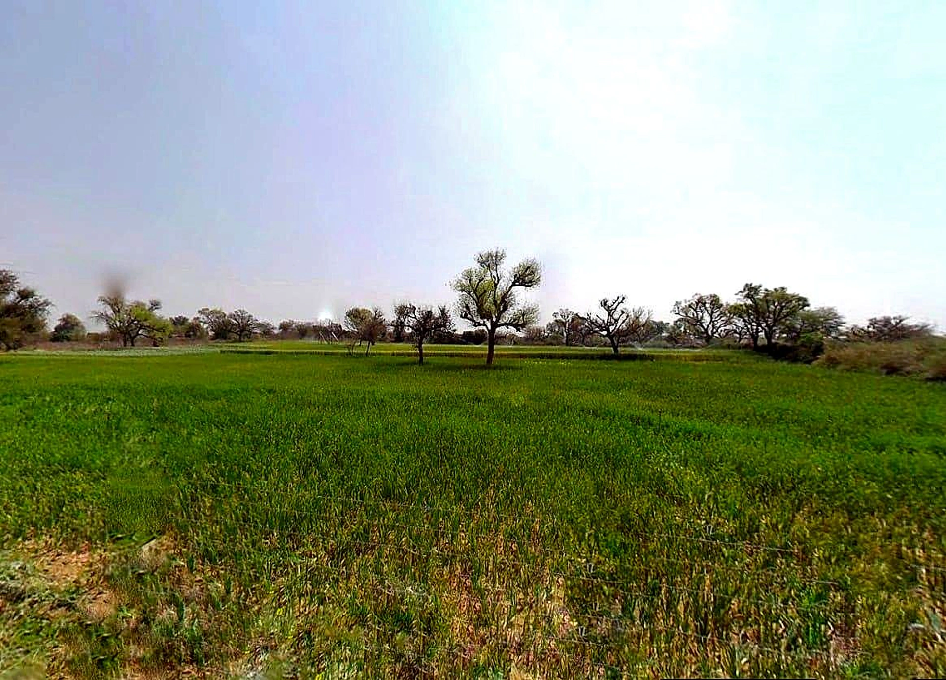 4JW8+4JW, Sardhana, Uttar Pradesh 250342, India