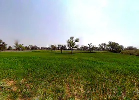 4JW8+4JW, Sardhana, Uttar Pradesh 250342, India preview 3