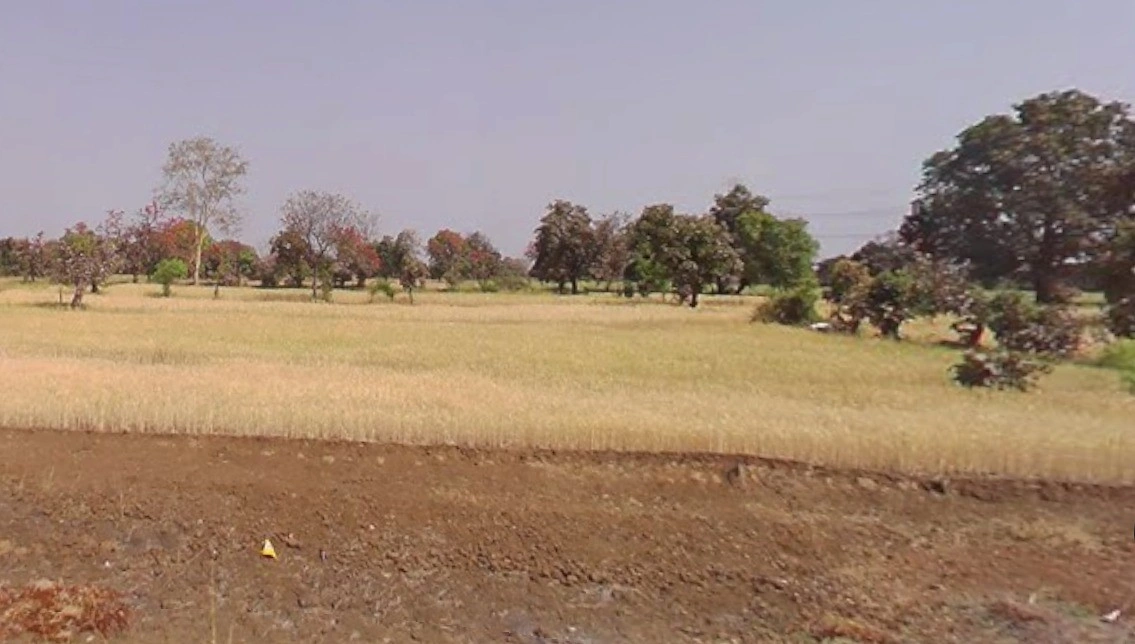 35XG+94, Pahadi Kheda, Madhya Pradesh, India