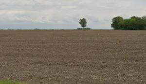 Nivi, Madhya Pradesh 475220, India preview 2