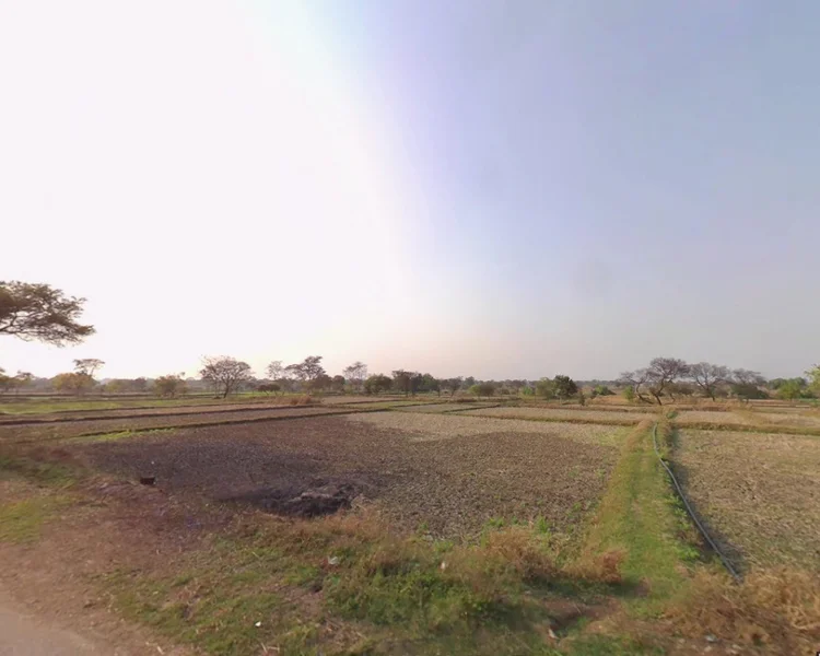 Jamgaon, Chhattisgarh 493661, India preview 3