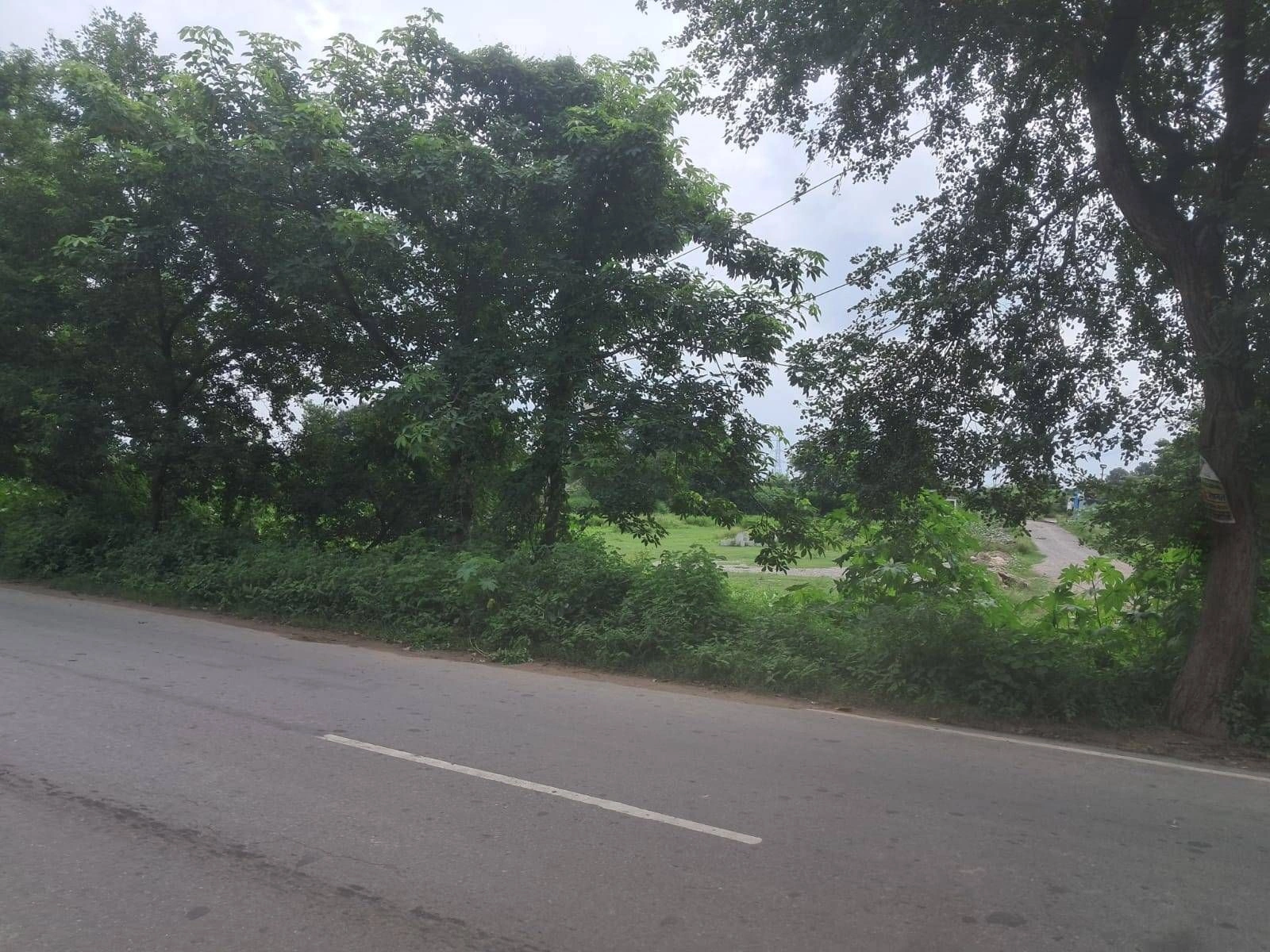 01, Gonda, Patel Nagar, Faizabad, Raheli, Uttar Pradesh 271319, India