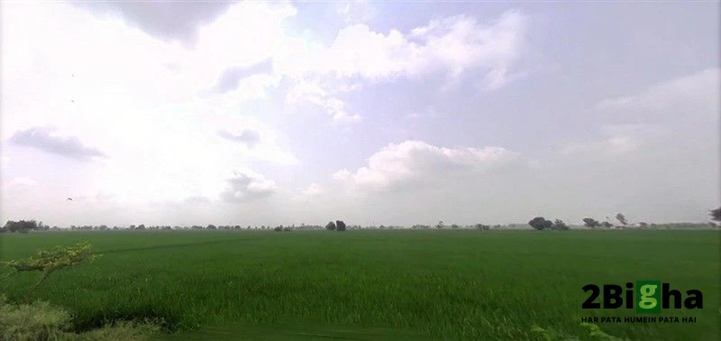 WG64+2MV, VILL, Thana, Haryana 136030, India