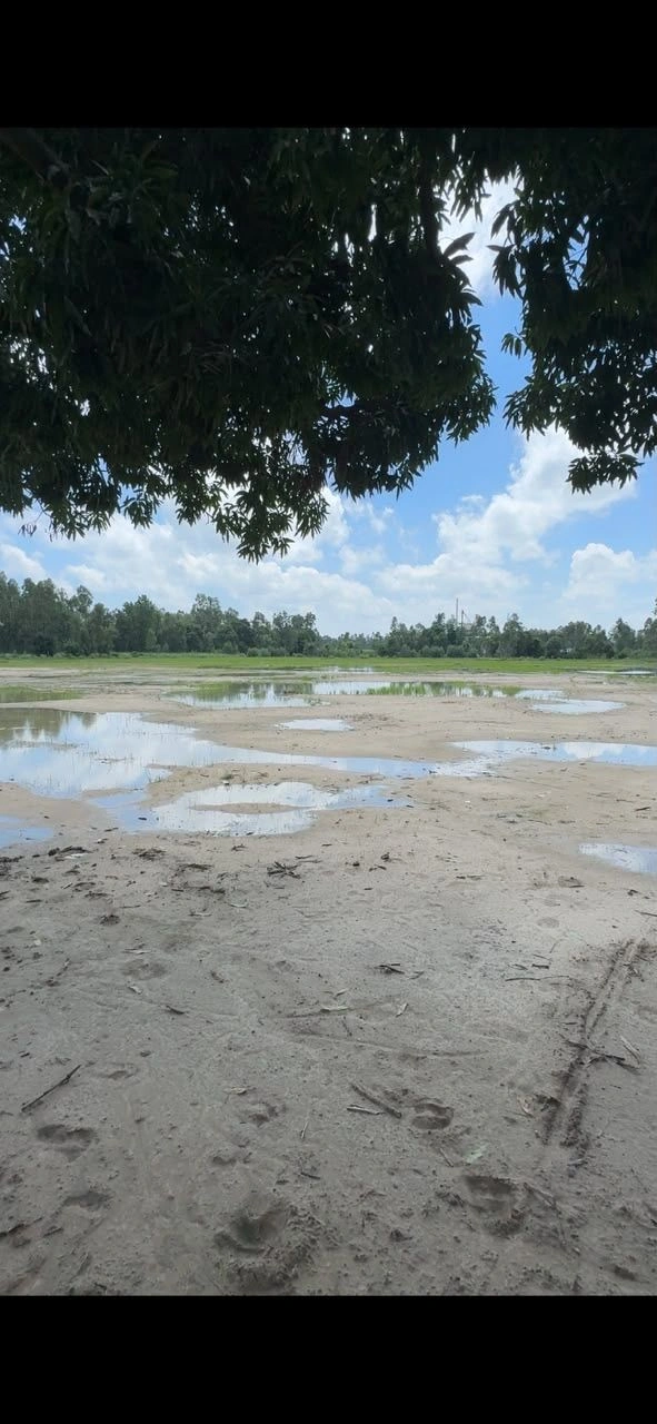 GMG9+J7 Jeora Makrandpur, Uttar Pradesh, India