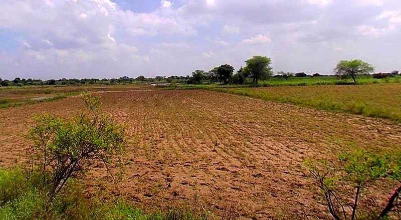 Barsana, Uttar Pradesh 281405, India preview 3