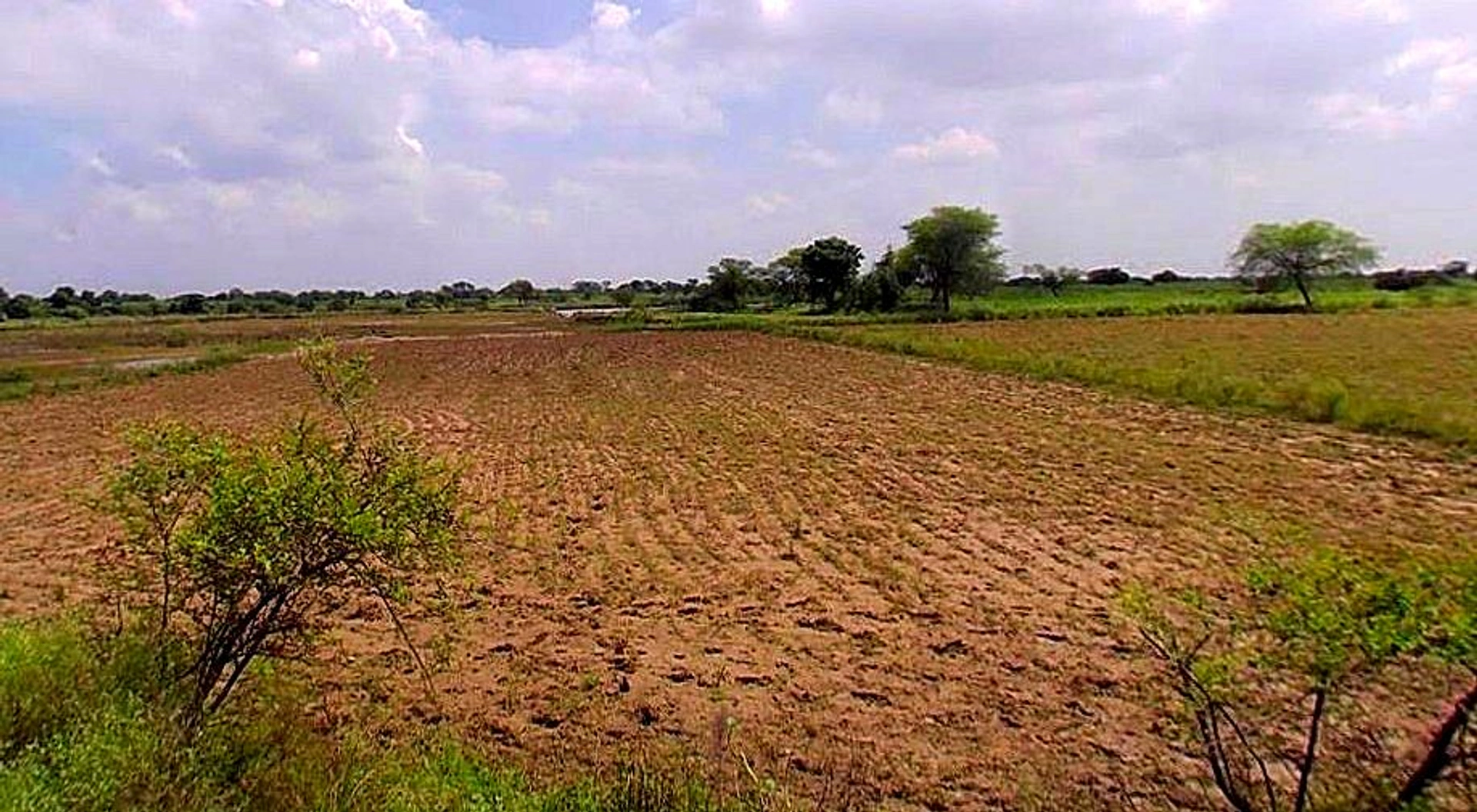 Barsana, Uttar Pradesh 281405, India