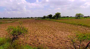 Barsana, Uttar Pradesh 281405, India preview 3