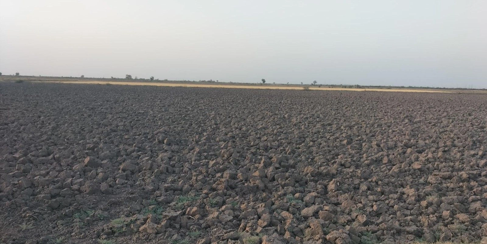 9555+FF Gamph, Gujarat, India