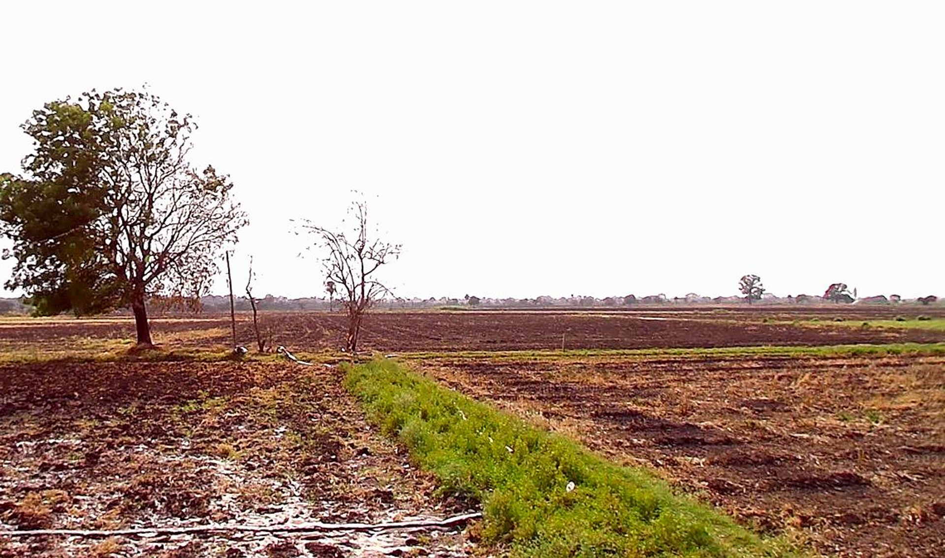 Sangvi, Madhya Pradesh 451221, India