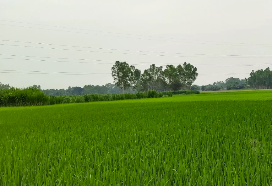 Khurja, Bulandshahr, Uttar Pradesh 203131, India