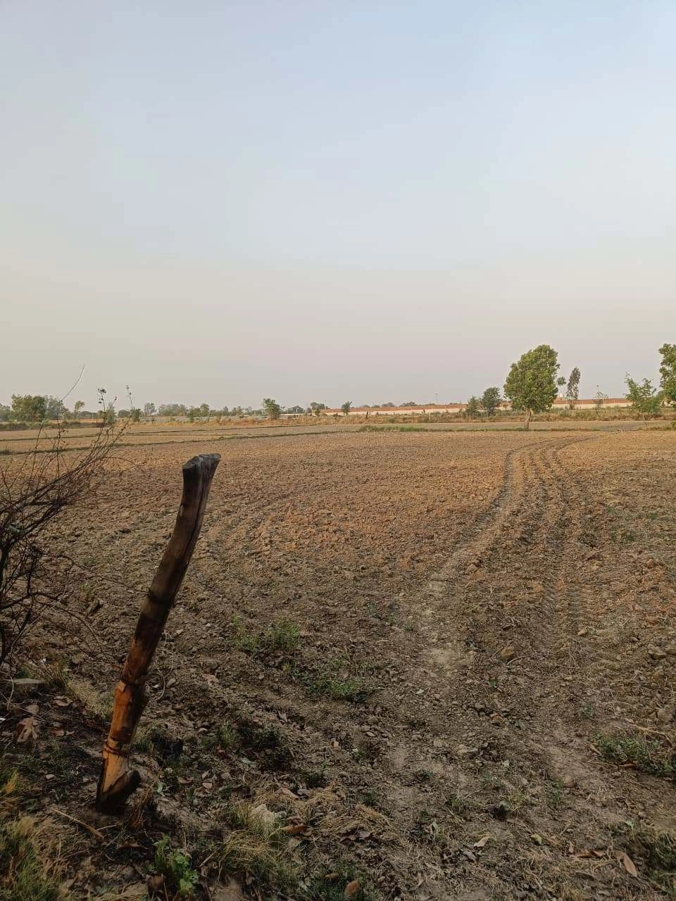 Chandauri, Uttar Pradesh, India preview 2