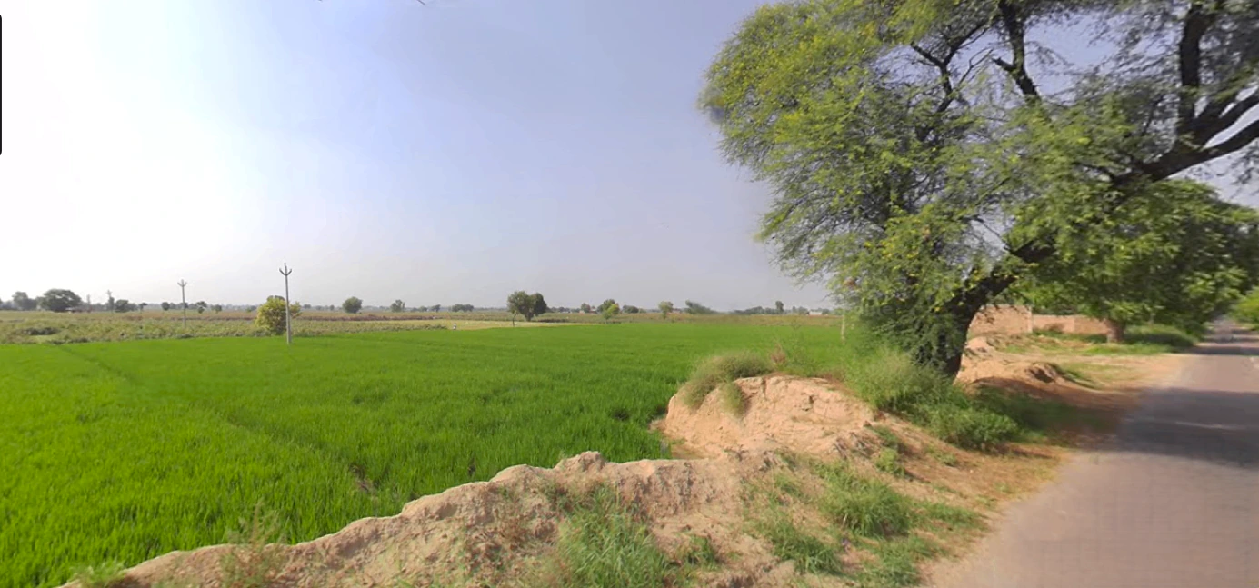 Nuran Khera, Haryana 131302, India