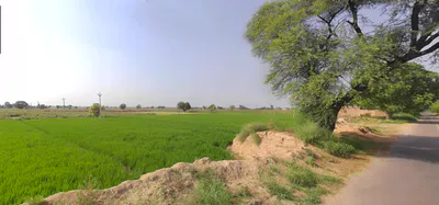 Nuran Khera, Haryana 131302, India preview 2