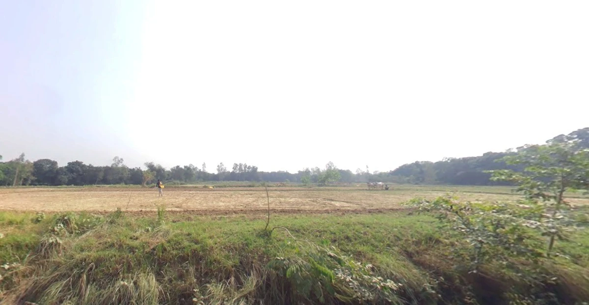 Suraiya Nagar, Madhya Pradesh 462042, India