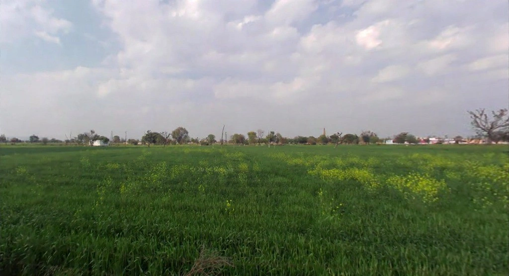 Mala Khera, Rajasthan 301406, India