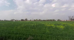 Mala Khera, Rajasthan 301406, India preview 2