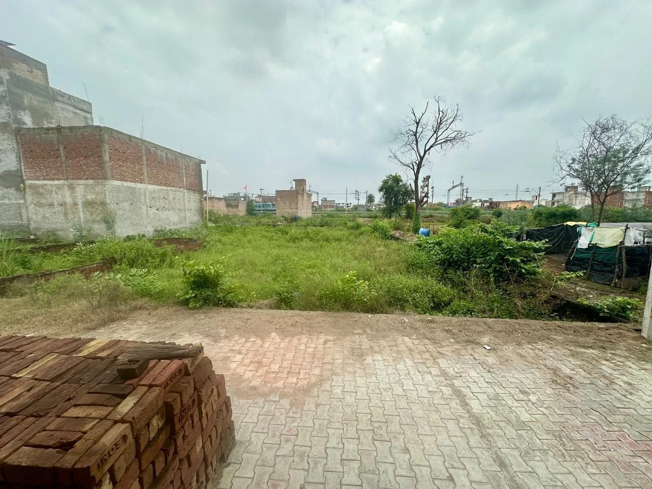 Srodhan, Sikandrabad, Bulandshahr, Uttar Pradesh, India